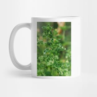 Curly Mint Mug